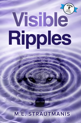 Cover image: Visible Ripples 9781738899593
