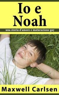 Cover image: Io e Noah: una storia d'amore e maturazione gay 9781071519066