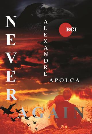 Imagen de portada: Never Again 9781071527856