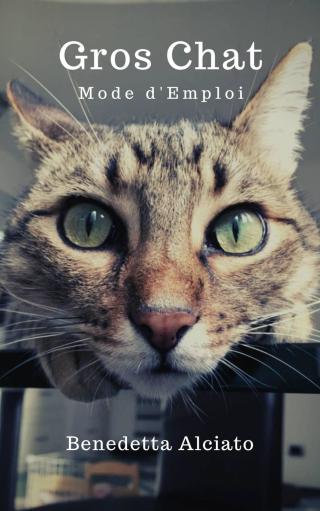 Cover image: Gros chat : mode d'emploi 9781071546697