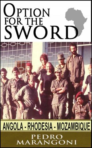 Cover image: Option for the Sword 9781071548776