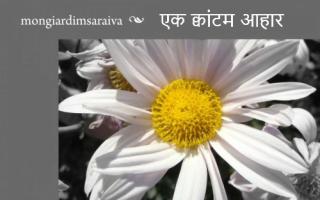 Cover image: एक क्वांटम आहार 9781071552759