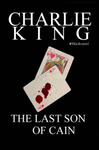 Cover image: The Last Son of Cain 9781071554739