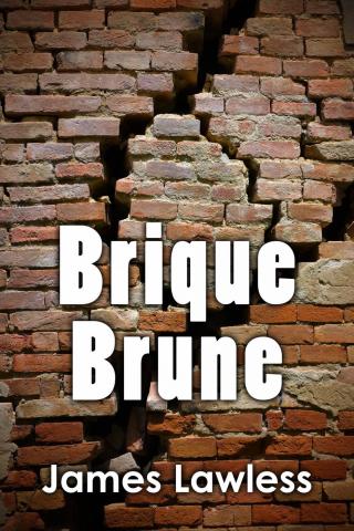 Imagen de portada: Brique Brune 9781071567449