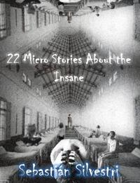 Imagen de portada: 22 Micro Stories About the Insane 9781071567760