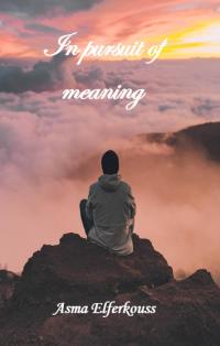 Cover image: In Pursuit of Meaning 9781071588109