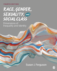 Imagen de portada: Race, Gender, Sexuality, and Social Class 4th edition 9781071850091