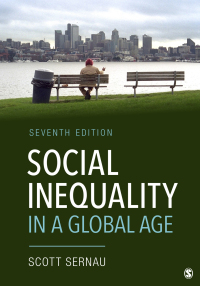 Immagine di copertina: Social Inequality in a Global Age 7th edition 9781071850947