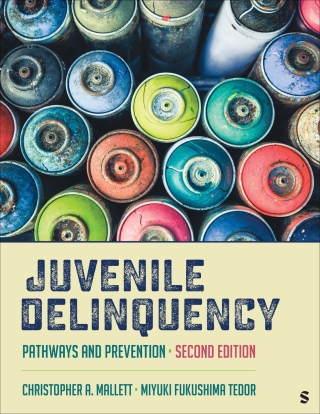 Cover image: Juvenile Delinquency 2nd edition 9781071979846