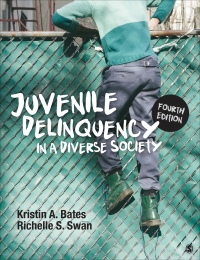 Cover image: Juvenile Delinquency in a Diverse Society 4th edition 9781071862230