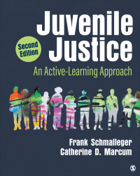 Cover image: Juvenile Justice 2nd edition 9781071923238