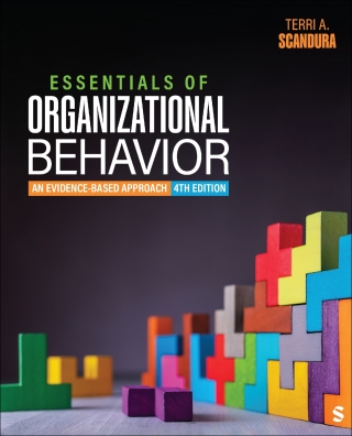 Omslagafbeelding: Essentials of Organizational Behavior 4th edition 9781071900024