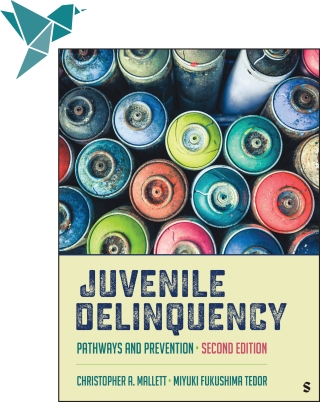 Omslagafbeelding: Sage Vantage: Juvenile Delinquency: Pathways and Prevention 2nd edition 9781071976098