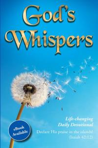 Cover image: God's Whispers 9781098005757