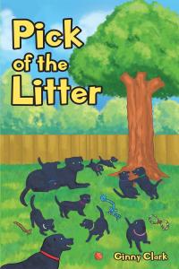Cover image: Pick of the Litter 9781098007966