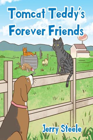 Titelbild: Tomcat Teddy's Forever Friends 9781098020644