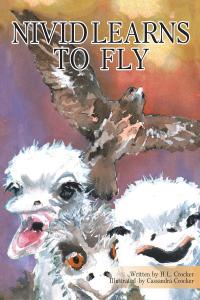 Imagen de portada: Nivid Learns to Fly 9781098022112