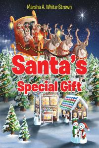 Titelbild: Santa's Special Gift 9781098073084