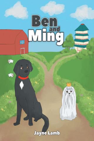 Imagen de portada: Ben and Ming 9781098082413