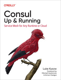 Cover image: Consul: Up and Running 1st edition 9781098106140