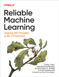 Imagen de portada: Reliable Machine Learning 1st edition 9781098106225