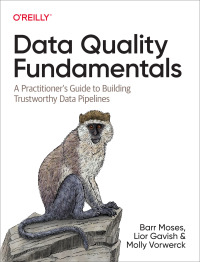 Cover image: Data Quality Fundamentals 1st edition 9781098112042
