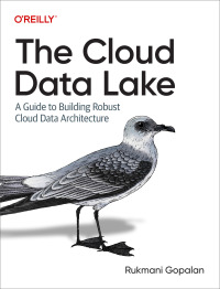 Cover image: The Cloud Data Lake 1st edition 9781098116583