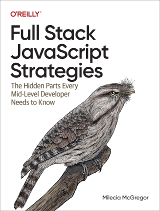 Imagen de portada: Full Stack JavaScript Strategies 1st edition 9781098122256