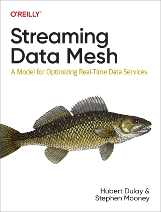 Imagen de portada: Streaming Data Mesh 1st edition 9781098130725