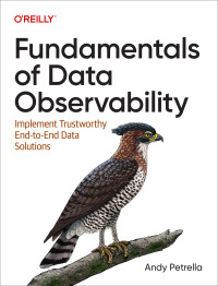 Titelbild: Fundamentals of Data Observability 1st edition 9781098133290