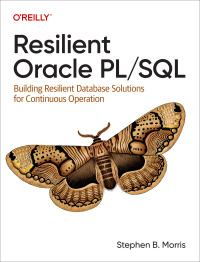 Imagen de portada: Resilient Oracle PL/SQL 1st edition 9781098134112