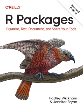 Imagen de portada: R Packages 2nd edition 9781098134945