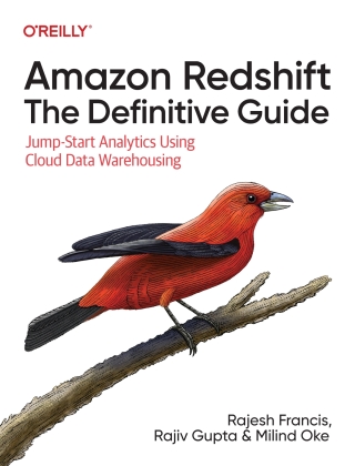 Cover image: Amazon Redshift: The Definitive Guide 1st edition 9781098135300