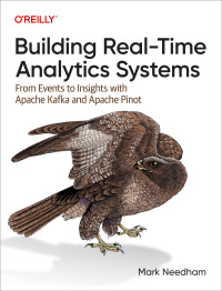 Titelbild: Building Real-Time Analytics Systems 1st edition 9781098138790
