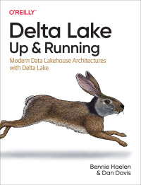 Imagen de portada: Delta Lake: Up and Running 1st edition 9781098139728