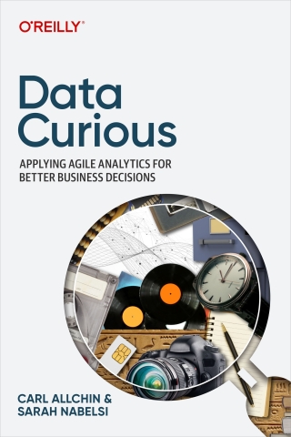 Imagen de portada: Data Curious 1st edition 9781098143831