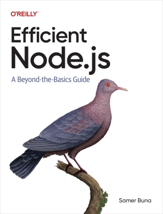 Cover image: Efficient Node.js 1st edition 9781098145194