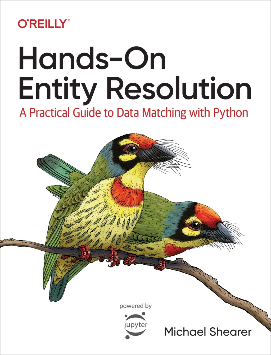 Hands-On Entity Resolution A Practical Guide to Data Matching with Python 1st Edition