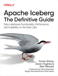 Cover image: Apache Iceberg: The Definitive Guide 1st edition 9781098148621