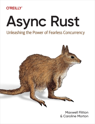 Titelbild: Async Rust 1st edition 9781098149093