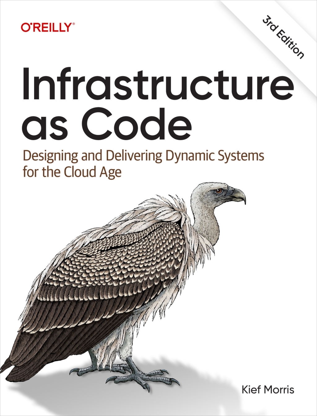 Infrastructure as Code Designing and Delivering Dynamic Systems for the Cloud Age 3rd Edition