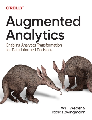 Cover image: Augmented Analytics 1st edition 9781098151720