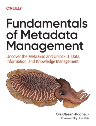 Imagen de portada: Fundamentals of Metadata Management 1st edition 9781098162825