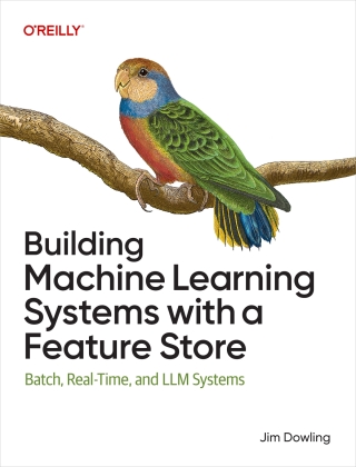 Immagine di copertina: Building Machine Learning Systems with a Feature Store 1st edition 9781098165239
