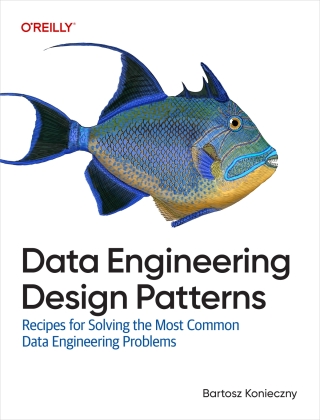 Cover image: Data Engineering Design Patterns 1st edition 9781098165819