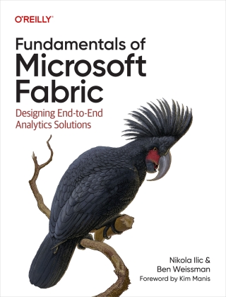 Omslagafbeelding: Fundamentals of Microsoft Fabric 1st edition 9781098172923