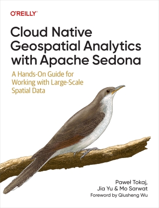 Immagine di copertina: Cloud Native Geospatial Analytics with Apache Sedona 1st edition 9781098173999