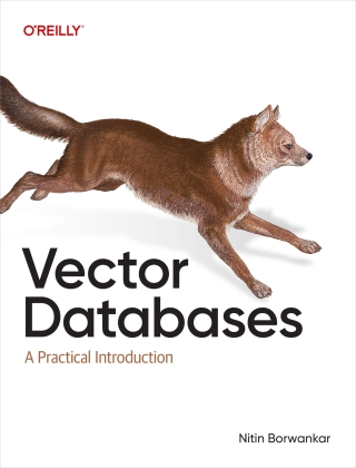 Immagine di copertina: Vector Databases 1st edition 9781098177591