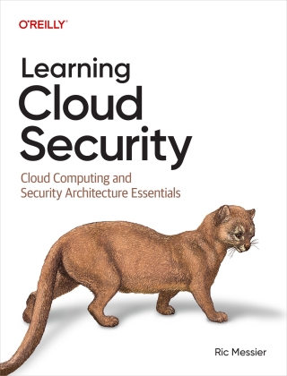 Imagen de portada: Learning Cloud Security 1st edition 9781098179427
