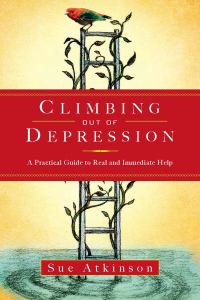Cover image: Climbing Out of Depression 9781585426850